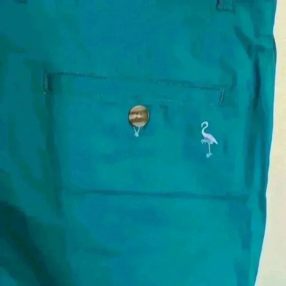 Tailorbyrd Collection NWT flat front, aqua men’s shorts. Size 32 - Picture 3 of 9